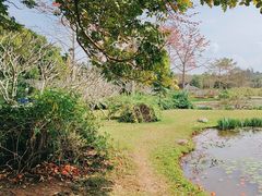 -中国科学院西双版纳热带植物园