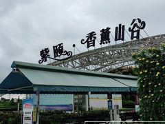 -紫颐香薰山谷景区