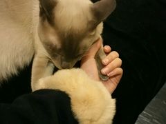 -吱咖啡西式简餐