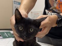 -派特宠物医院(圆融广场店)