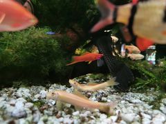 -大家乐(佛山南海店)