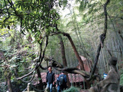 android_upload_pic-严子陵钓台(富春江小三峡)