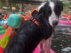 -安吉龙王山峡谷漂流