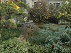 -浙江西子宾馆·瑶园咖啡厅