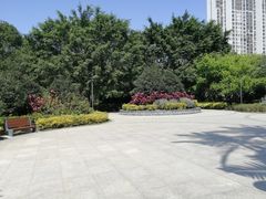 -金山公园
