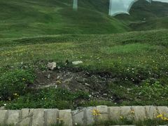 -长白山吉祥物天池水怪专卖