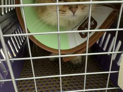 -瑞派康怡24h宠物医院·犬猫医疗中心·微创绝育(瑞景分院)
