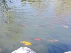 -天毓山庄·餐厅