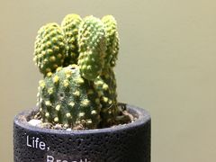 -三圣花乡旅游区