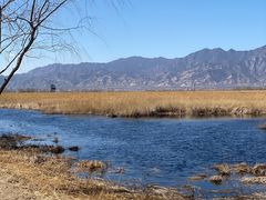 -野鸭湖国家湿地公园