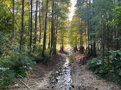-广州市白云山风景名胜区