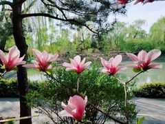 -玲珑塔公园