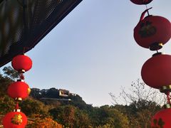 -福道