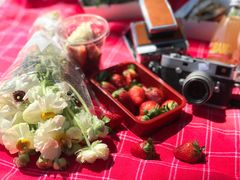 -墨尔本皇家植物园