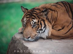 -乐和乐都主题乐园