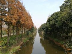 -上海长兴岛郊野公园