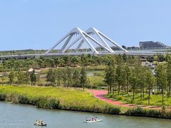 -春花秋色城市公园