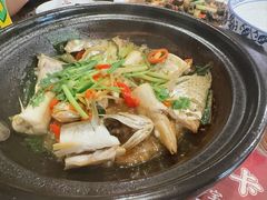 -长平肥姐白粥·海鲜打冷