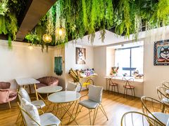 用餐区-Husky Go! 哈士奇体验馆·宠物咖啡厅狗咖