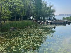 -苏州金鸡湖大酒店