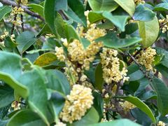 -狼山风景名胜区