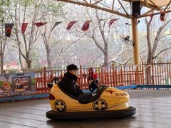 -郑州方特梦幻王国