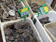 -青石桥市场北1-27号