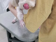 -安安宠物医院(情缘分院)