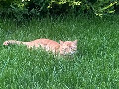 -勃利地摊·勃立小串烧烤