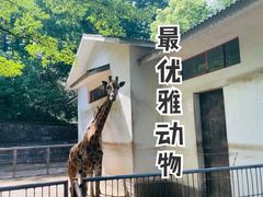 -杭州动物园