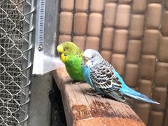 -正佳雨林生态植物园