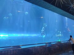 -华夏文旅海洋公园