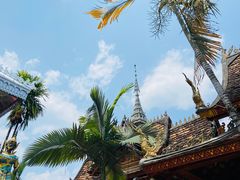 -西双版纳傣族园