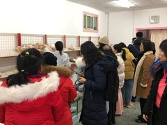 -中关村茶点