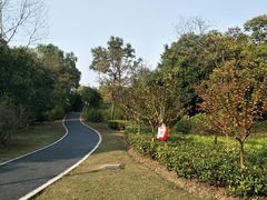 -新江湾城公园