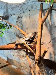 -Zoolung Zoolung动物主题公园(海信广场店)