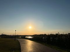 -春花秋色城市公园