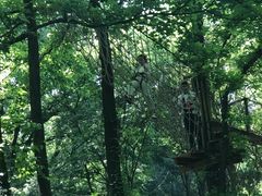 -WeLope紫金山探险公园