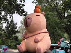 -北京野生动物园