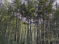 -福建土楼(南靖)景区