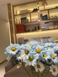 -MIDA蜜哒•科技逆龄美肤连锁