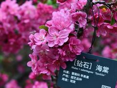 -国家植物园