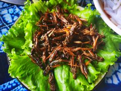 -恋羊时代黑山羊火锅(滨海大道店)