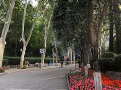 -西安市长乐公园