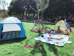 -嘉北郊野公园北游客中心-地上停车场