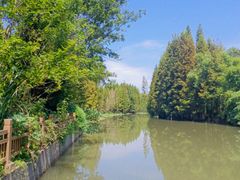 -桤木河湿地公园