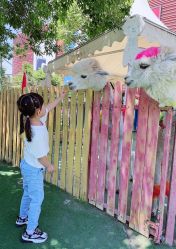 -萌宠亲子动物乐园(槐房万达店)