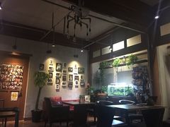 -百好乐宠物友好餐厅(朝外大街店)