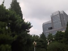 -北京科技大学-游泳馆