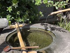 -难波八坂神社